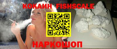 дурь Сланцы