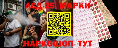 дурь Сланцы