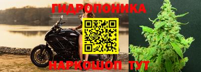 дурь Сланцы
