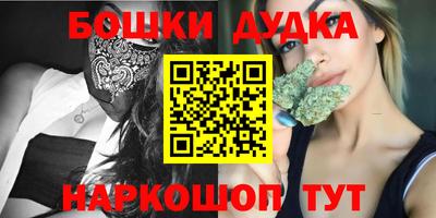 дурь Сланцы