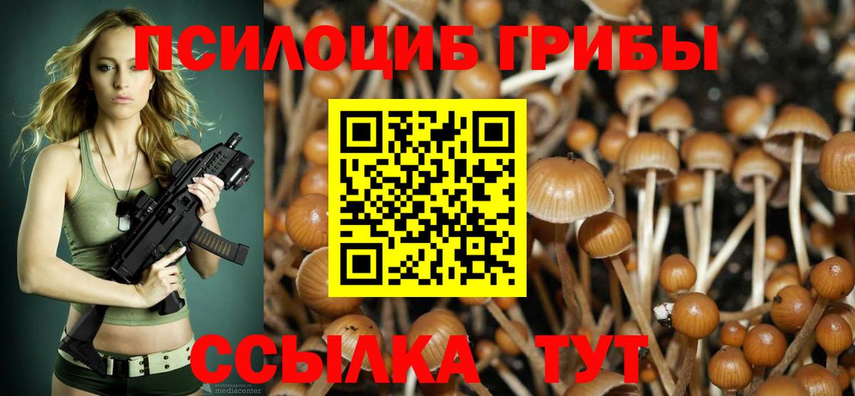 Галлюциногенные грибы MAGIC MUSHROOMS Москва